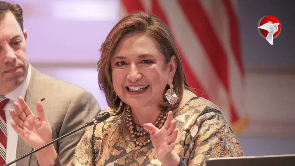 xochitl web 2