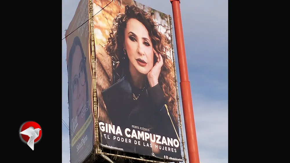 web gina