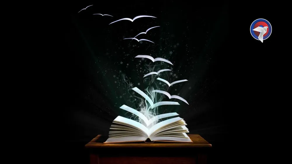 web libro