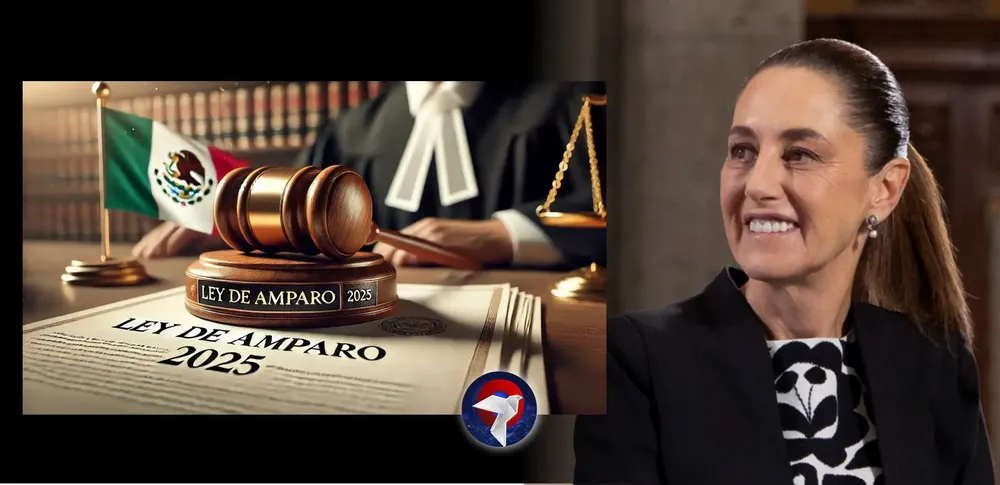 amparo web