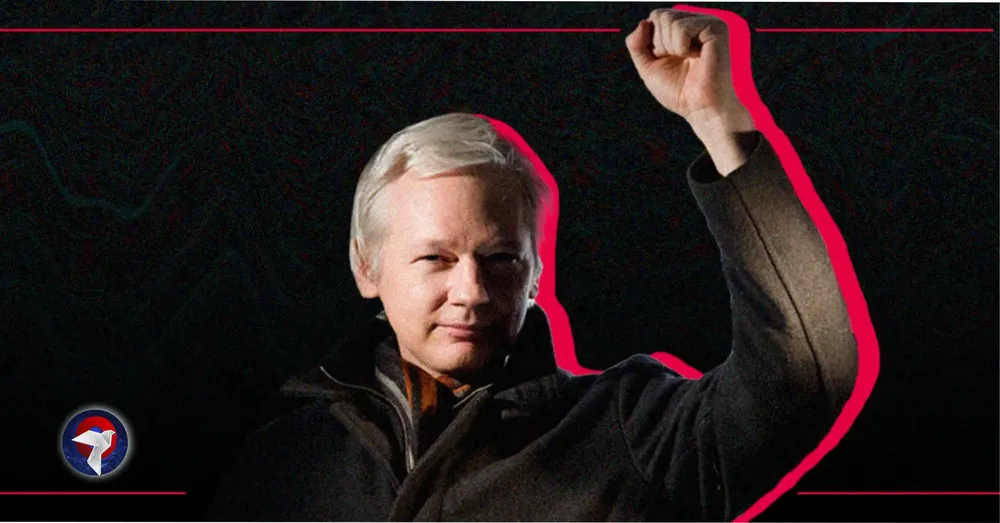 assange dos web