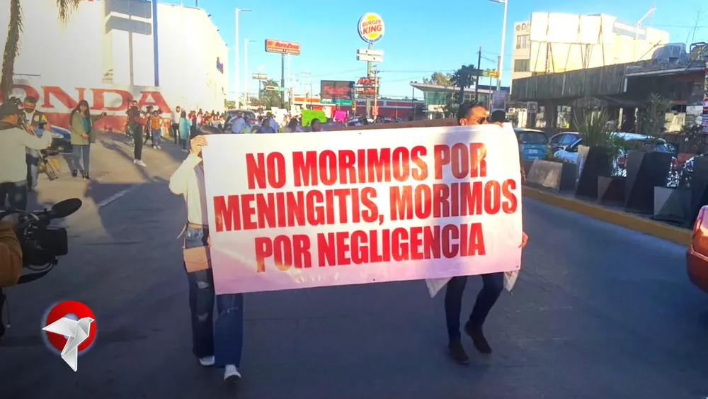 meningitis web