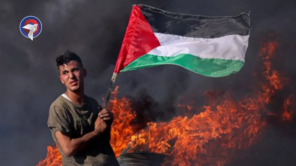 web palestina