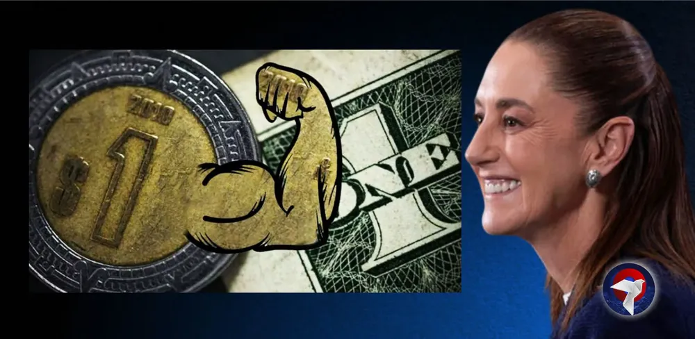 peso web