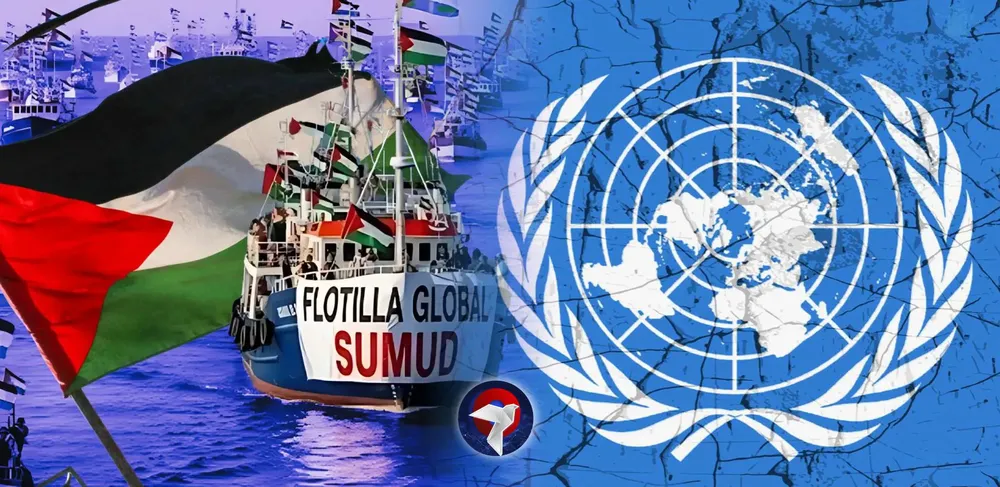 sumud web