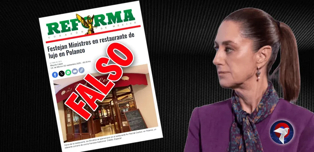 REFORMA WEB