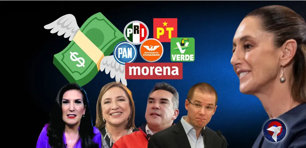 pluris web