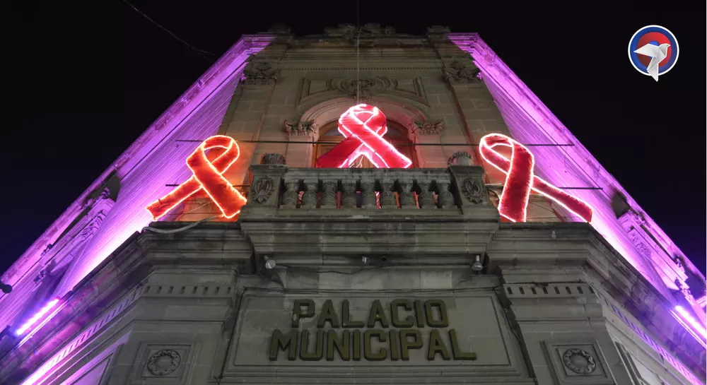 ALCALDE WEB