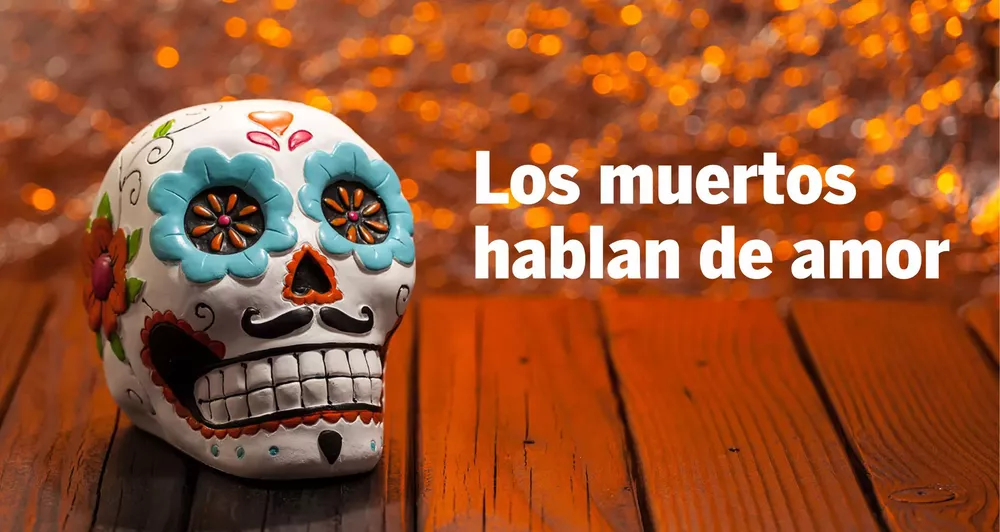 13 MUERTOS WEB